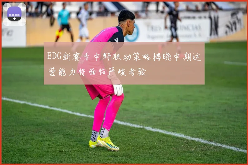 EDG新赛季中野联动策略揭晓中期运营能力将面临严峻考验