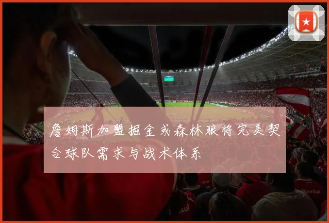 詹姆斯加盟掘金或森林狼将完美契合球队需求与战术体系