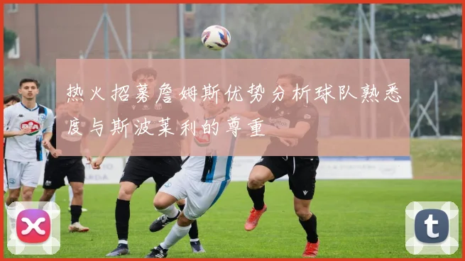 热火招募詹姆斯优势分析球队熟悉度与斯波莱利的尊重